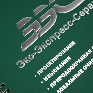 Ees01s